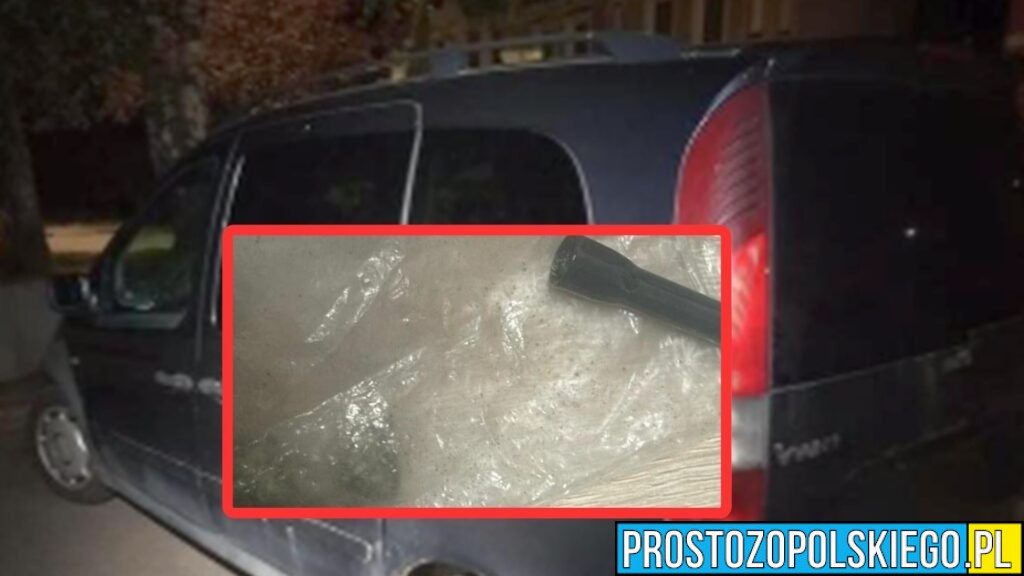 Zawodowy kierowca zatrzymany pod wpływem narkotyków. Stracił prawo jazdy