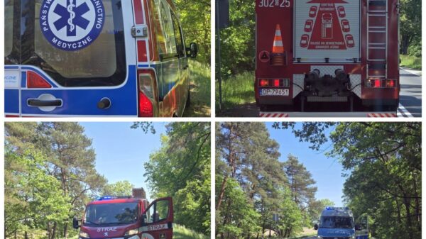Wypadek na DK94 w Skarbiszowie. Zderzenie ciężarówki z samochodem osobowym