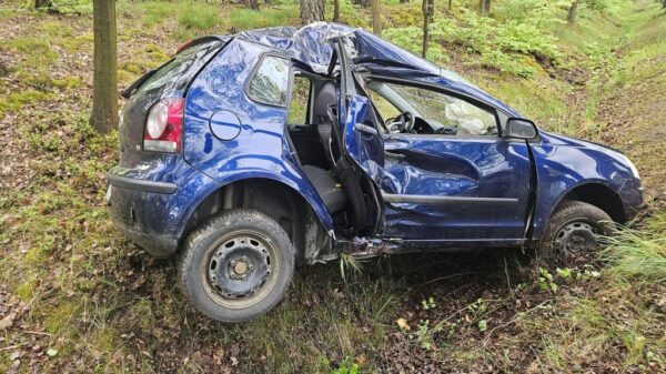 Groźny wypadek między Jełową a Dąbrówką Łubniańską. Volkswagen uderzył w drzewo