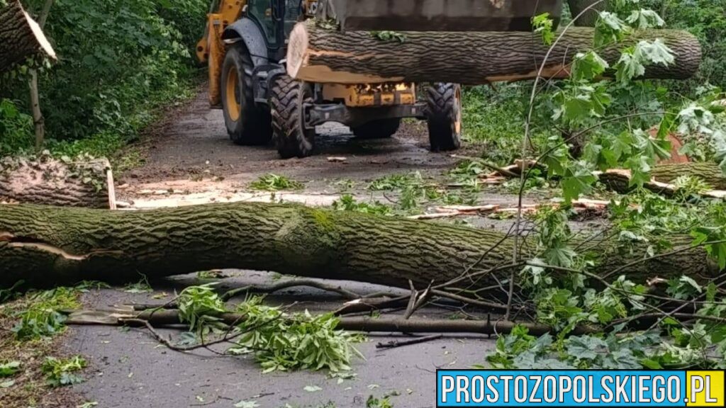 Trwają prace porządkowe w Parku Renardów po przejściu gwałtownej burzy