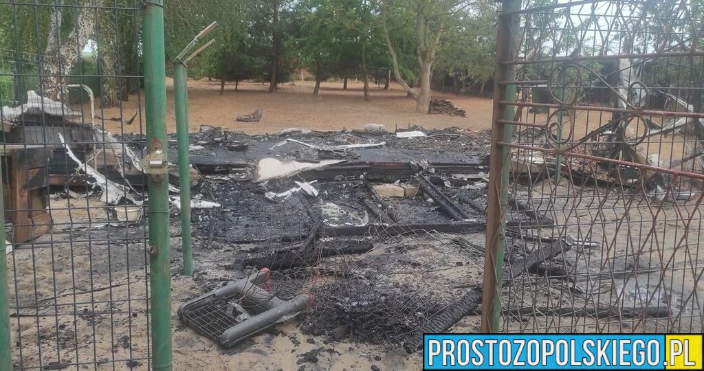 Tragiczny pożar w Jaśkowicach. Zginęło kilkanaście psów