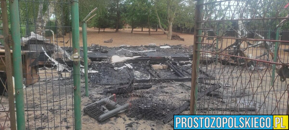 Tragiczny pożar w Jaśkowicach. Zginęło kilkanaście psów