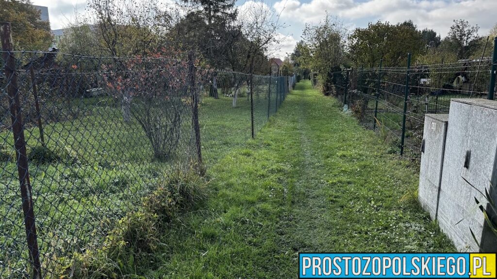 Policja apeluje do działkowiczów. Wraz z cieplejszą pogodą rośnie ryzyko włamań i kradzieży
