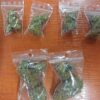 Marihuana w aucie. Dwóch mężczyzn zatrzymanych przez policjantów z Olesna