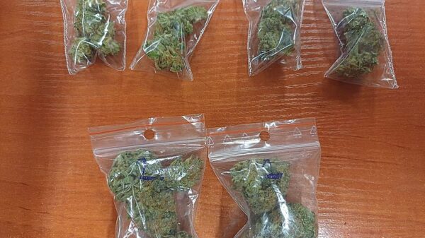 Marihuana w aucie. Dwóch mężczyzn zatrzymanych przez policjantów z Olesna