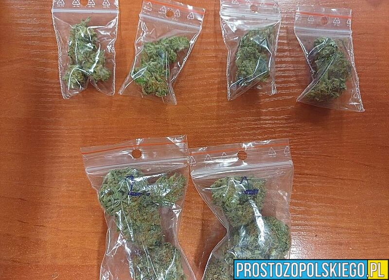Marihuana w aucie. Dwóch mężczyzn zatrzymanych przez policjantów z Olesna