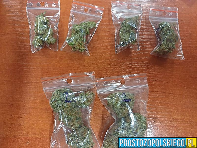 Marihuana w aucie. Dwóch mężczyzn zatrzymanych przez policjantów z Olesna