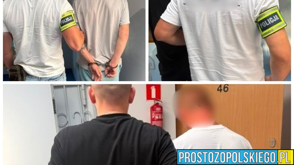 Seria kradzieży w powiecie namysłowskim. Trzech mężczyzn zatrzymanych, usłyszeli łącznie 12 zarzutów