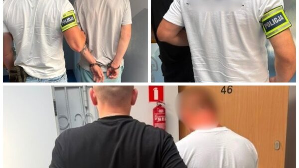 Seria kradzieży w powiecie namysłowskim. Trzech mężczyzn zatrzymanych, usłyszeli łącznie 12 zarzutów