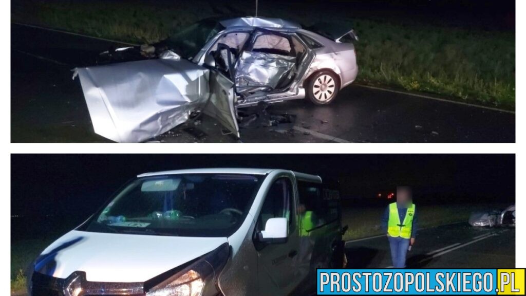 Tragiczny wypadek na DW423. Nie żyje jedna osoba, kierowca skody miał blisko 3 promile alkoholu