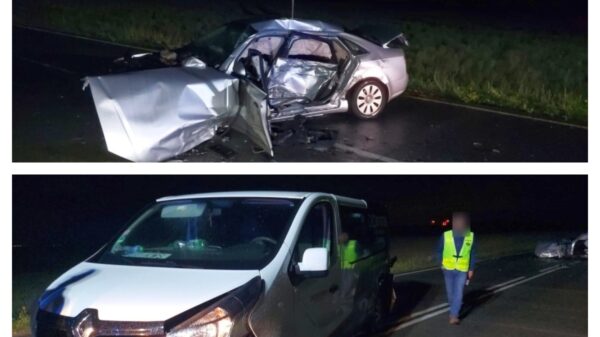 Tragiczny wypadek na DW423. Nie żyje jedna osoba, kierowca skody miał blisko 3 promile alkoholu