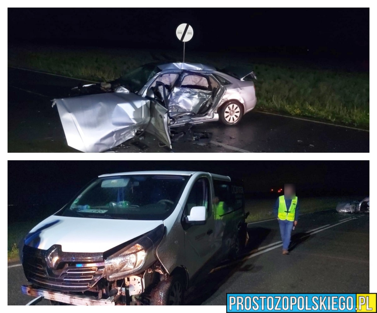 Tragiczny wypadek na DW423. Nie żyje jedna osoba, kierowca skody miał blisko 3 promile alkoholu