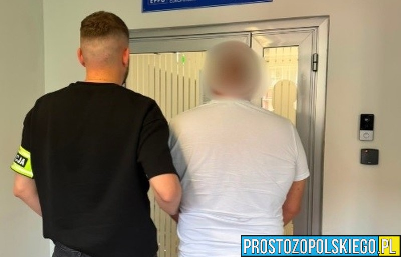 Oszukiwali przy termomodernizacji domów. Straty przekraczają 3 miliony złotych