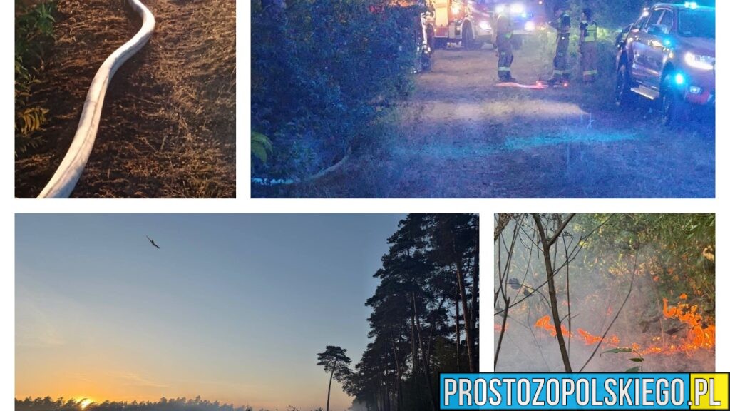 Pożary lasów w Kędzierzynie-Koźlu. Do akcji skierowano samoloty i śmigłowce gaśnicze