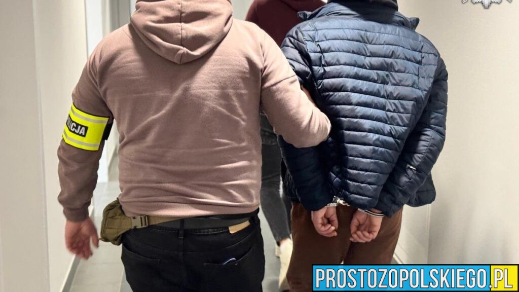 47 osób zatrzymanych w dwa dni. Skuteczna akcja opolskich policjantów