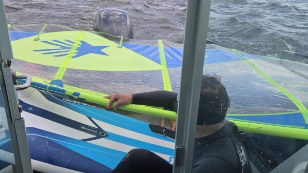 Policyjna pomoc na Jeziorze Turawskim. Windsurfer miał problemy na wodzie