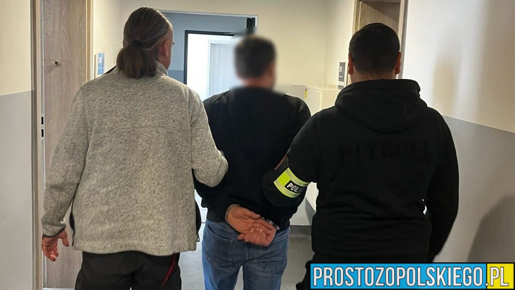 33-latek z Opola podejrzany o znęcanie się nad dziećmi i psem. Grozi mu do 7,5 roku więzienia