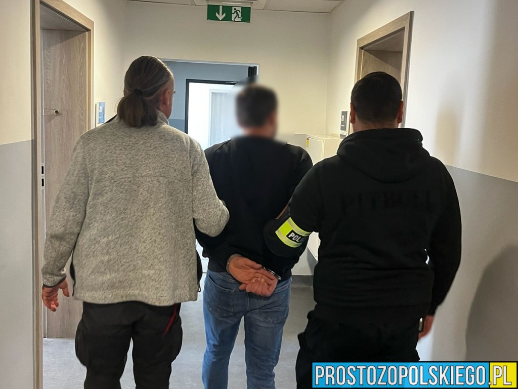 33-latek z Opola podejrzany o znęcanie się nad dziećmi i psem. Grozi mu do 7,5 roku więzienia