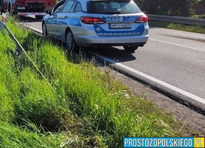 Ciało mężczyzny znalezione przy DK46 pod Opolem. Trwa ustalanie jego tożsamości