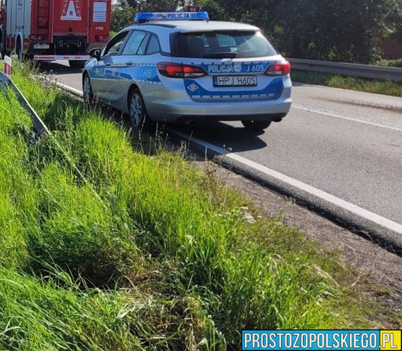 Ciało mężczyzny znalezione przy DK46 pod Opolem. Trwa ustalanie jego tożsamości