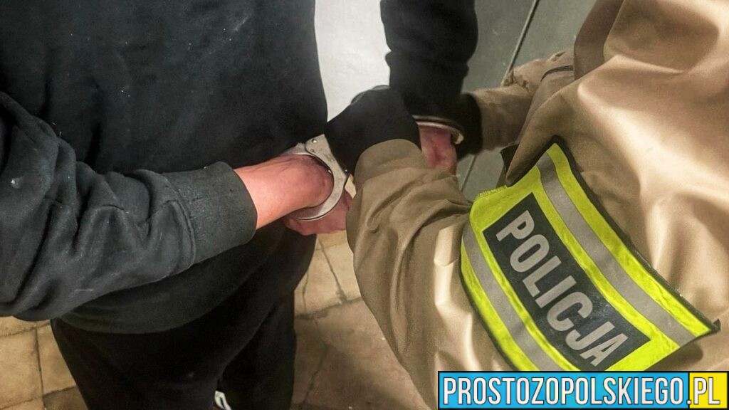 Kolizja z radiowozem ujawniła narkotyki.43-latek z amfetaminą i sądowym zakazem trafił do aresztu