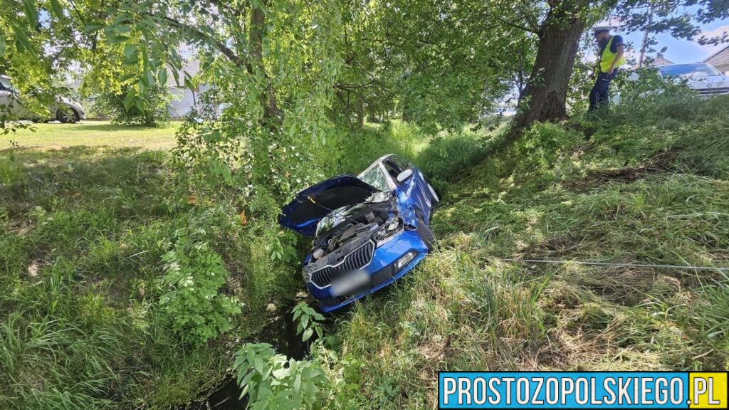 Samochód uderzył w drzewo i wpadł do rzeki w Grodźcu