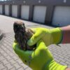 Policjanci z Namysłowa uratowali młode pustułki. Nietypowa interwencja zakończona sukcesem