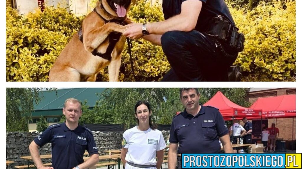Red i Drago – policyjni czworonożni funkcjonariusze wspierają kluczborską policję