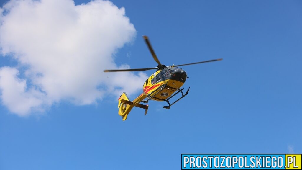Psy zaatakowały 9-latka jadącego na rowerze. Chłopiec trafił do szpitala
