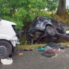 Tragiczny wypadek między Wilkowem a Rostkowicami. Nie żyje 67-letni kierowca