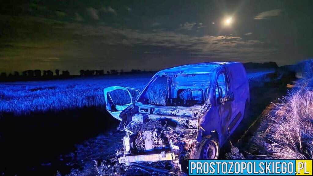 Pożar samochodu między Strzelcami Opolskimi a Warmątowicami. Ogień zajął również pole ze zbożem