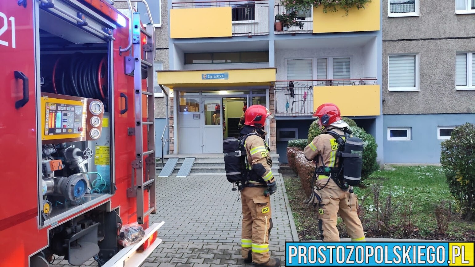 niebezpieczny ptasznik uciekł w mieszkaniu, niebezpieczny pająk w Opolu, jadowity pająk uciekł w miszkaniu na malince, ptasznik, tarantula,