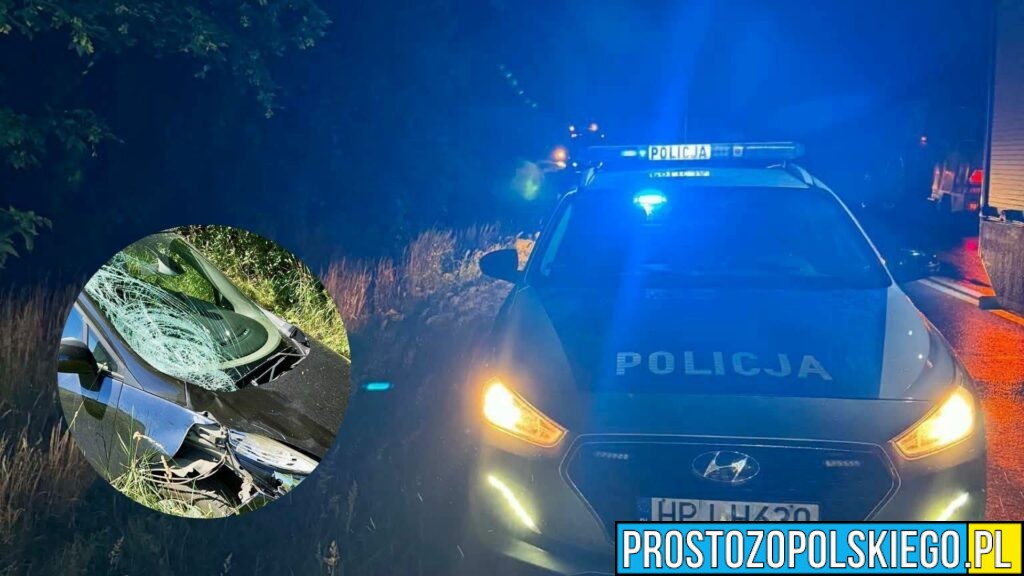 Nysa: Śmiertelne potrącenie rowerzysty. Policja zatrzymała 40-letniego kierowcę