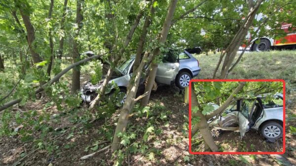 Wypadek na DK45 w Zawadzie. Audi uderzyło w drzewa, kierowca trafił do szpitala