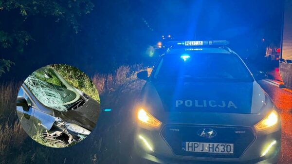 Nysa: Śmiertelne potrącenie rowerzysty. Policja zatrzymała 40-letniego kierowcę