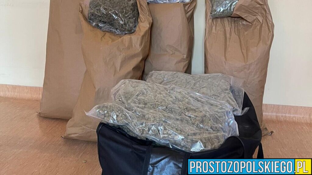 Opolscy kryminalni przejęli narkotyki warte ponad 2 miliony złotych. Dwóch mężczyzn w areszcie
