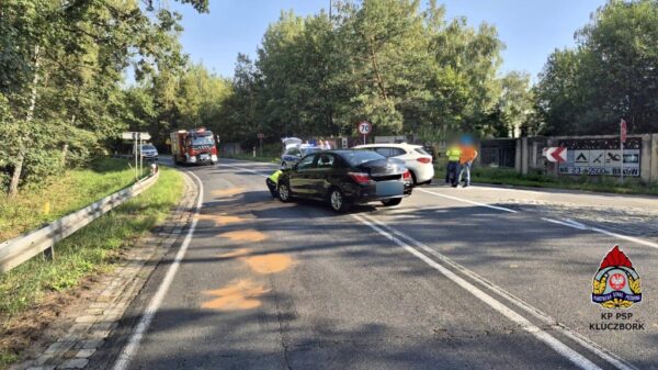 Zderzenie dwóch samochodów na DK11 w Bąkowie. Jedna osoba trafiła do szpitala