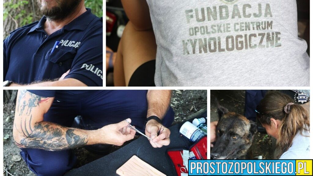 Opolscy policjanci szkolili się z udzielania pierwszej pomocy psom służbowym