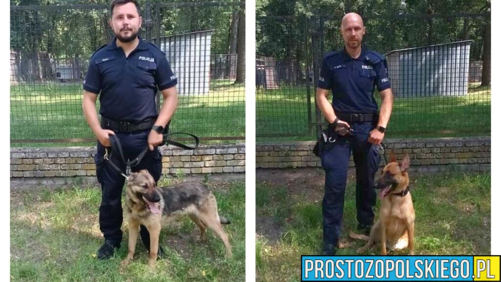 Nowi czworonożni funkcjonariusze w opolskiej Policji. Zocha i Zwinka będą służyć w Nysie i Kędzierzynie-Koźlu