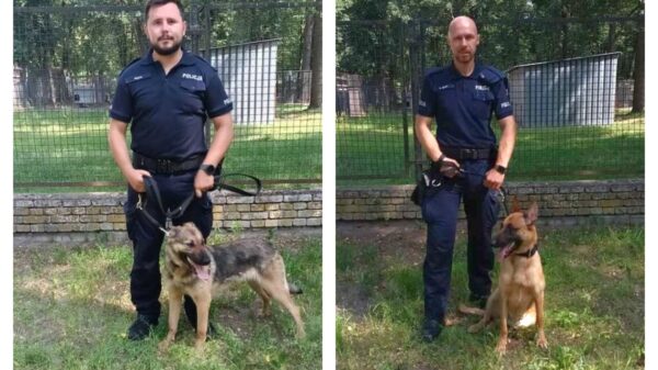 Nowi czworonożni funkcjonariusze w opolskiej Policji. Zocha i Zwinka będą służyć w Nysie i Kędzierzynie-Koźlu