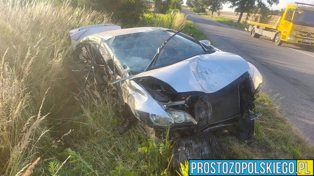 Pijany kierowca uderzył hondą w drzewo w Kamiennej. Na miejscu interweniowały służby