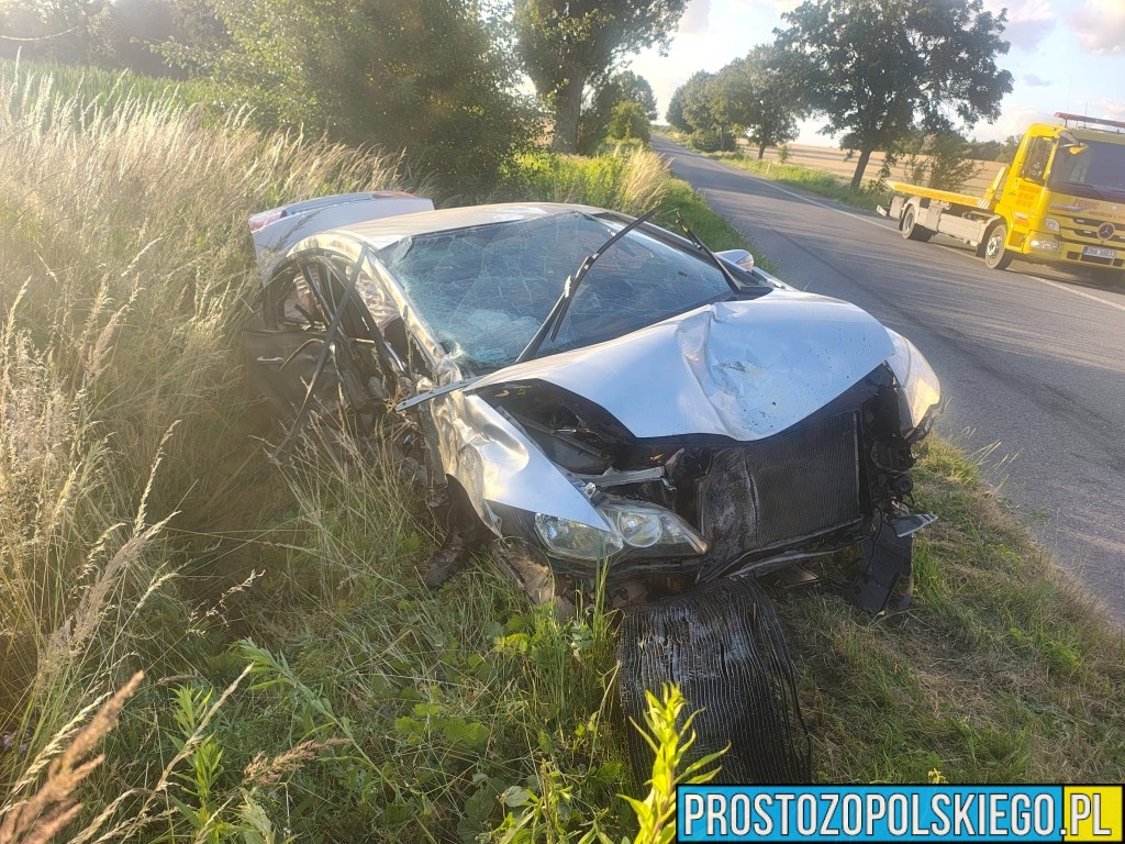 Pijany kierowca uderzył hondą w drzewo w Kamiennej. Na miejscu interweniowały służby