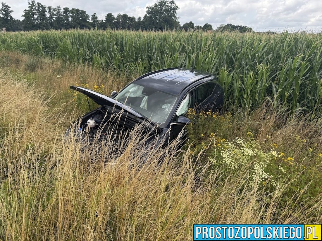 wypadk na bwodnicy opola, sprawca wypadku agresywny, sprawa wypadku skuty przez policje, sprawca wypadku pobił ratowników, wypadek w opolu, sprawca skuty przez policję,