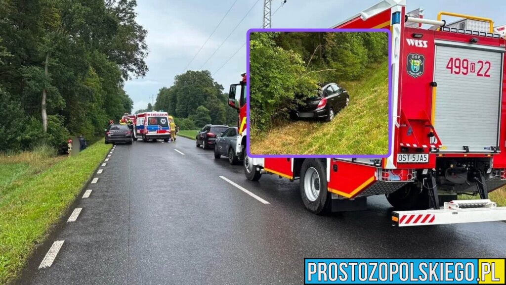 Opel wypadł z drogi wojewódzkiej nr 426. Jedna osoba trafiła do szpitala