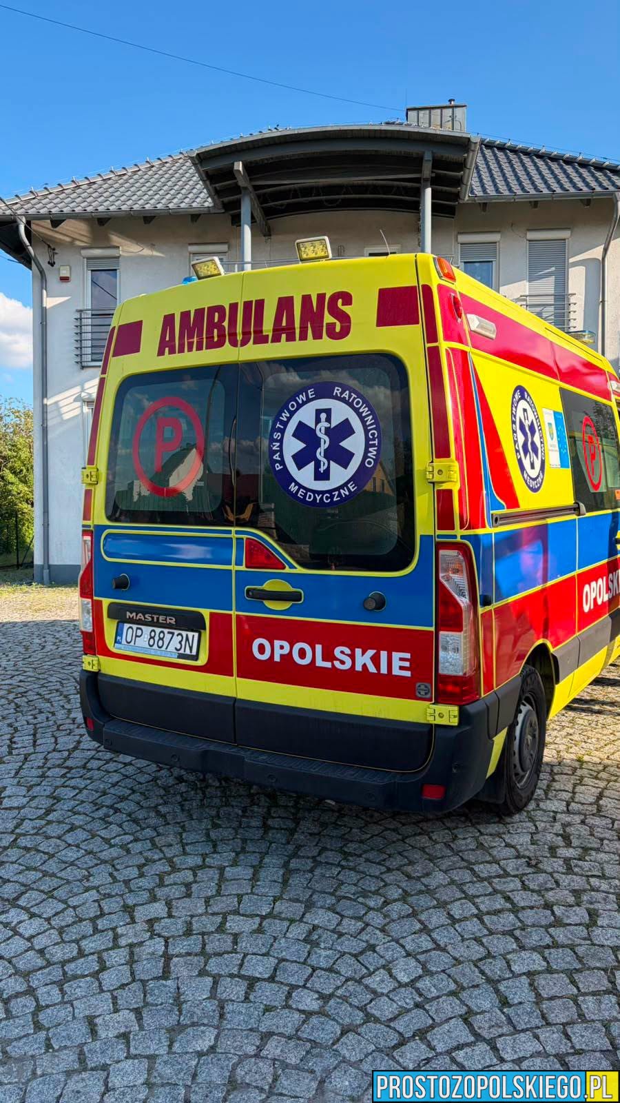 Agresywne owady zaatakowały mieszkańców w Opolu. Dwie osoby wymagały pomocy ratowników