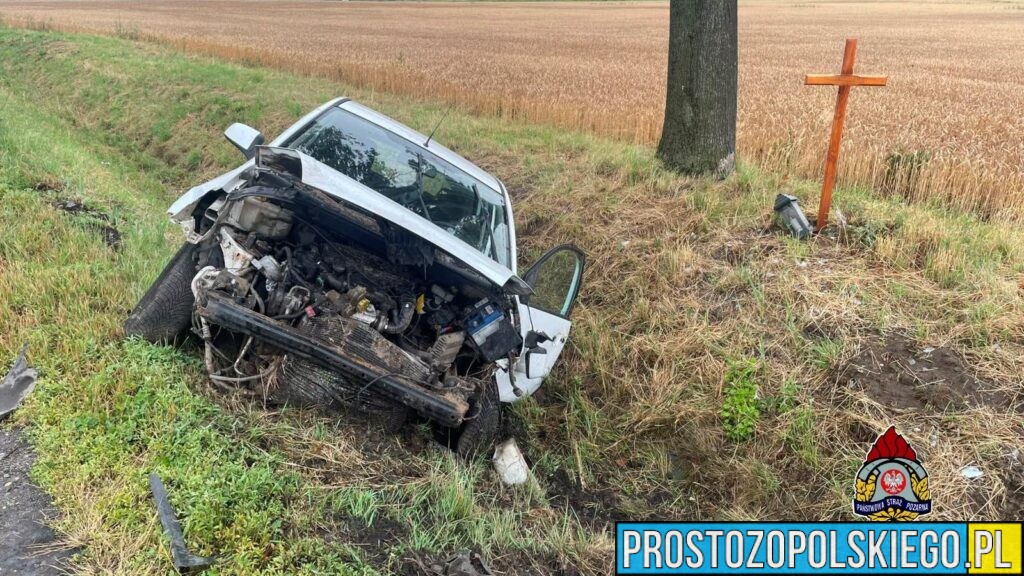 Wypadek na DK11 w Gołkowicach. Samochód wypadł z drogi i wylądował w rowie