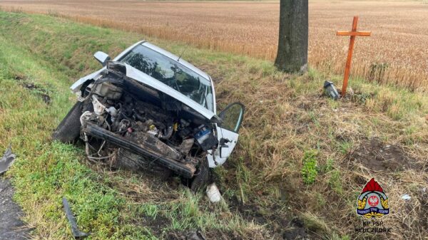 Wypadek na DK11 w Gołkowicach. Samochód wypadł z drogi i wylądował w rowie