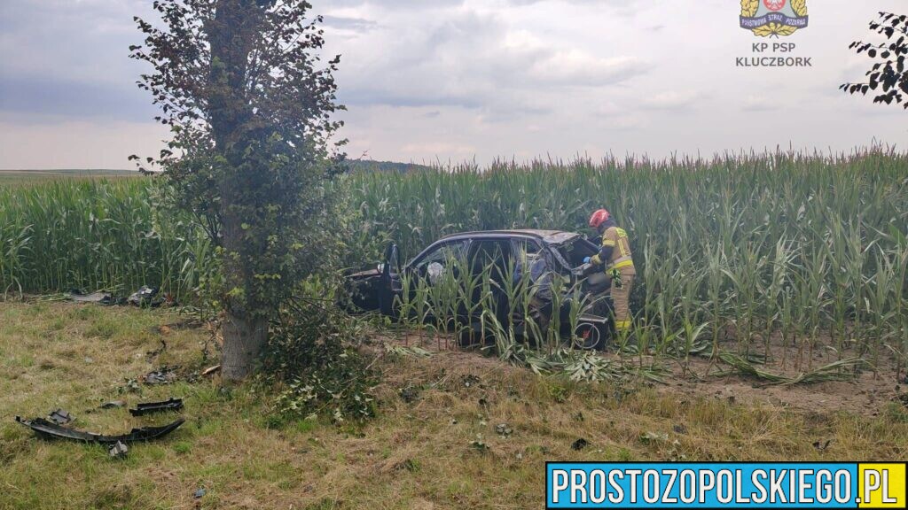 BMW wypadło z drogi i uderzyło w drzewo. Kierowca trafił pod opiekę ratowników
