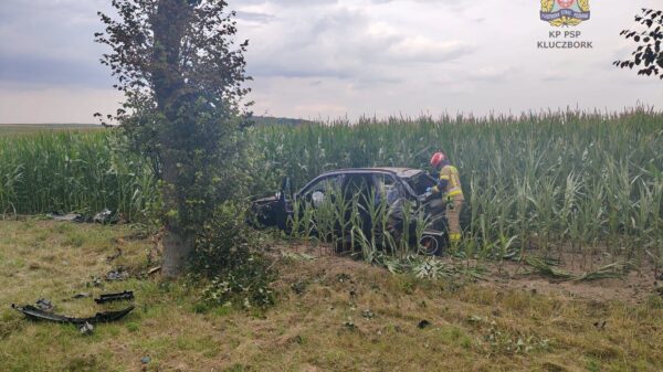 BMW wypadło z drogi i uderzyło w drzewo. Kierowca trafił pod opiekę ratowników