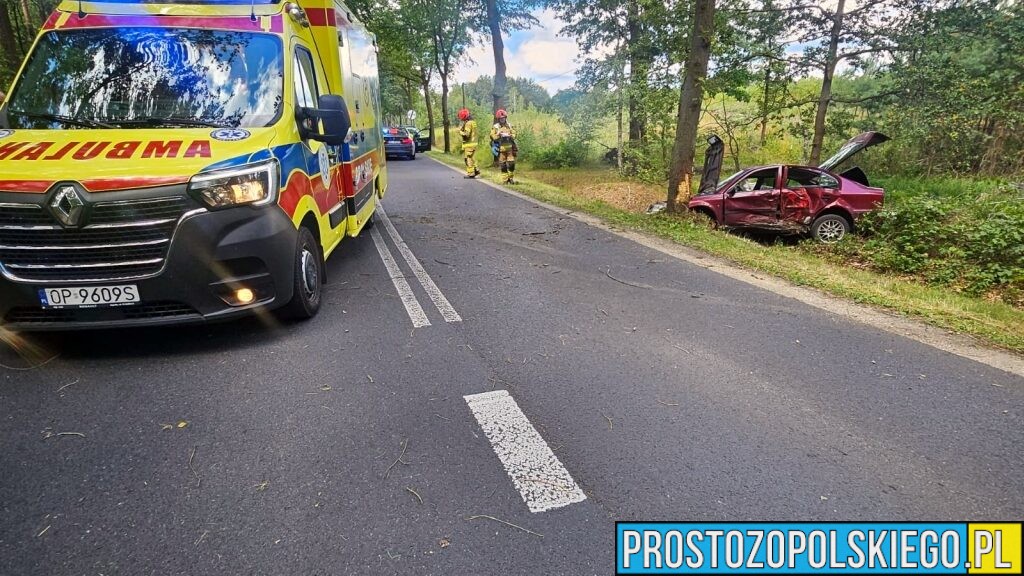 Dachowanie na DW461 w Dąbrówce Łubniańskiej. Kierowca był pod wpływem alkoholu